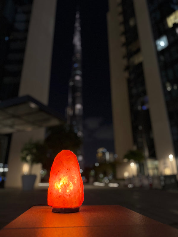 QuickHeat Stainless Steel Lunch Box